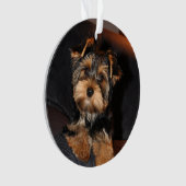 Cute Yorkshire Terrier Yorkie Puppy Dog Ornament (voorkant)
