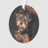 Cute Yorkshire Terrier Yorkie Puppy Dog Ornament (voorkant)