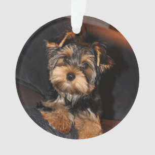 Cute Yorkshire Terrier Yorkie Puppy Dog Ornament