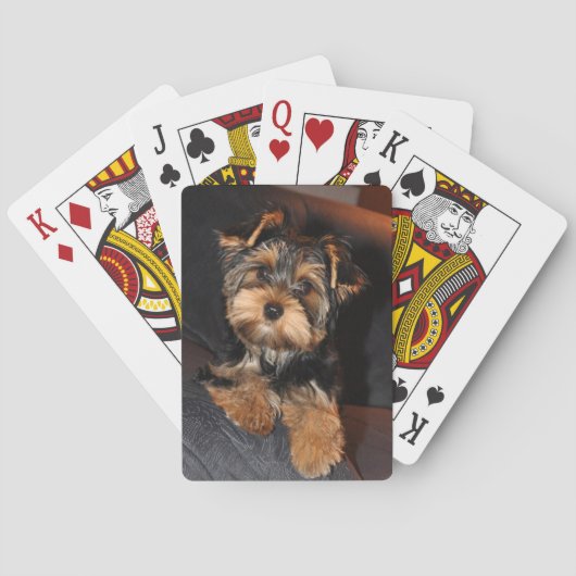 Cute Yorkshire Terrier Yorkie Puppy Dog   Pokerkaarten (Achterkant)