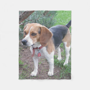 Cute Young Beagle Fleece Blanket