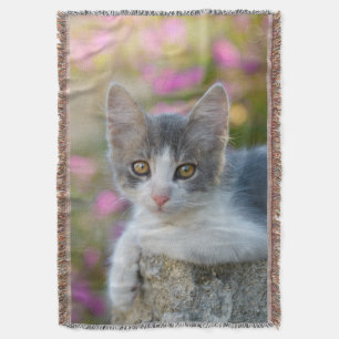 Cute Young Bicolor Cat Kitten Pink Flowers - Deken