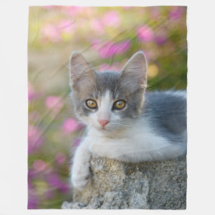 Cute Young Bicolor Cat Kitten Pink Flowers - Fleece Deken