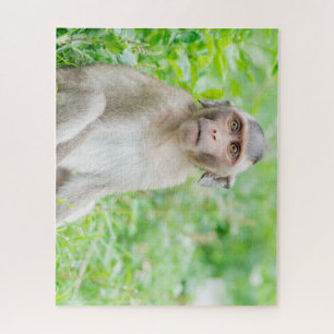 Cute Young Brown Spider Monkey Legpuzzel