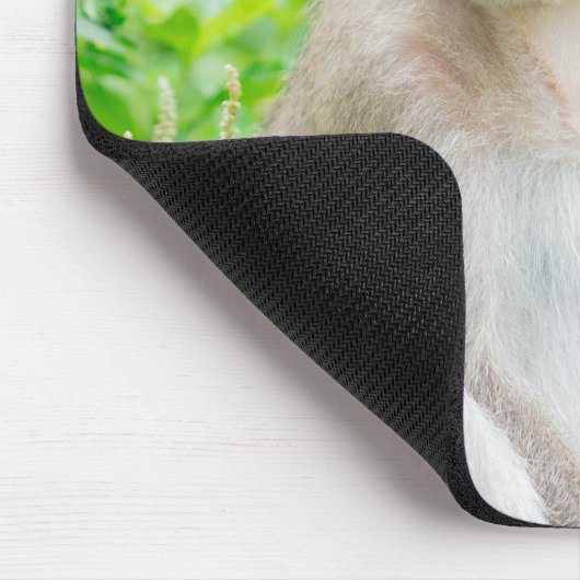 Cute Young Brown Spider Monkey Muismat (Hoek)