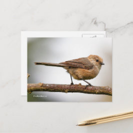 Cute Young Bushtit op de hybride fruitboom Briefkaart