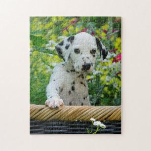 Cute Young Dalmatian Dog Puppy Game 11x14 Legpuzzel