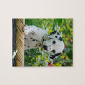 Cute Young Dalmatian Dog Puppy Game 8x10 Legpuzzel (Horizontaal)
