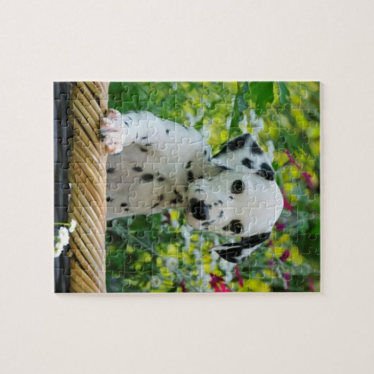 Cute Young Dalmatian Dog Puppy Game 8x10 Legpuzzel (Horizontaal)