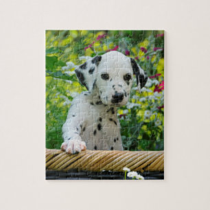 Cute Young Dalmatian Dog Puppy Game 8x10 Legpuzzel