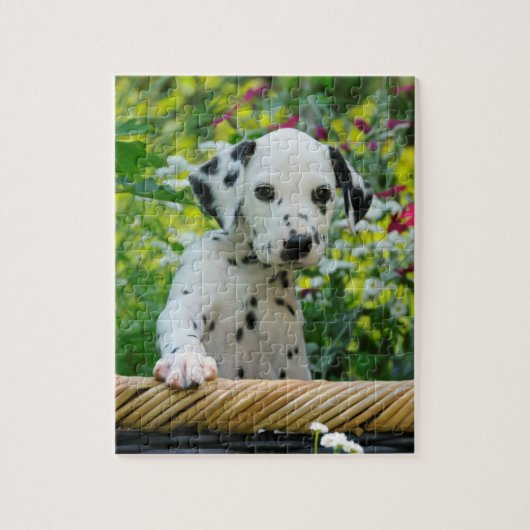 Cute Young Dalmatian Dog Puppy Game 8x10 Legpuzzel (Verticaal)