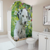 Cute Young Dalmatian Dog Puppy, Tub Douchegordijn (In situ)