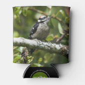 Cute Young Downy Woodpecker in de perenboom Blikjeskoeler (Voorkant)