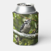 Cute Young Downy Woodpecker in de perenboom Blikjeskoeler (Blikje Achterkant)