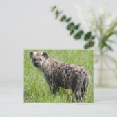 Cute Young Hyena met Wet Fur in Green Grass Briefkaart (Staand voorkant)