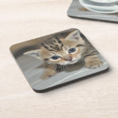Cute Young Kitten Bier Onderzetter (Linkerzijde)
