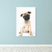 Cute Young Pug Dog Canvas Afdruk (Insitu (Houten vloer))