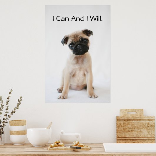Cute Young Pug Dog Poster (Keuken)
