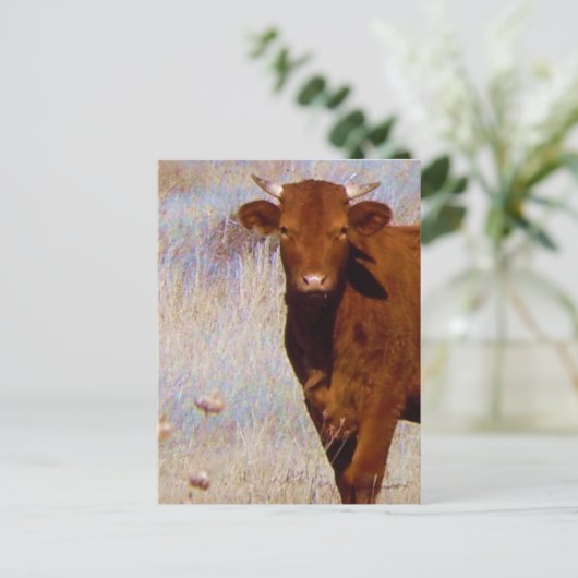 Cute Young Red Cow Cattle with Horns Western Briefkaart (Staand voorkant)