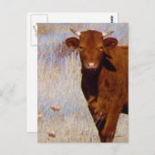 Cute Young Red Cow Cattle with Horns Western Briefkaart (Voorkant / Achterkant)