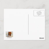 Cute Young Red Cow Cattle with Horns Western Briefkaart (Achterkant)