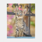 Cute Young Tabby Kitten met blauwe ogen in een tui Fleece Deken (Voorkant)