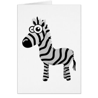 Cute zebra