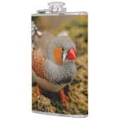 Cute Zebra Finch Songbird on the Rocks Heupfles (Links)