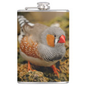 Cute Zebra Finch Songbird on the Rocks Heupfles (Voorkant)