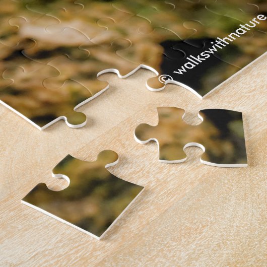 Cute Zebra Finch Songbird on the Rocks Legpuzzel (Zijkant)