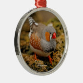 Cute Zebra Finch Songbird on the Rocks Metalen Ornament (Rechts)