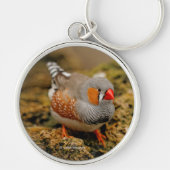 Cute Zebra Finch Songbird on the Rocks Sleutelhanger (Voorkant)