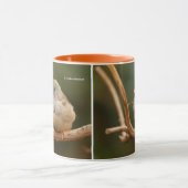 Cute Zebra Finch Songbird Sitting Mok (Midden)