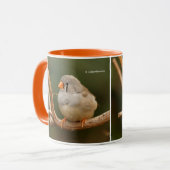 Cute Zebra Finch Songbird Sitting Mok (Voorkant links)