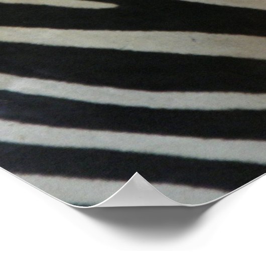 Cute Zebra Poster (Hoek)