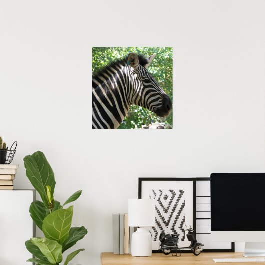 Cute Zebra Poster (Thuiskantoor)