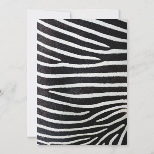 Cute Zebra Safari Oerwoud  Animal Baby boy Kaart (Achterkant)