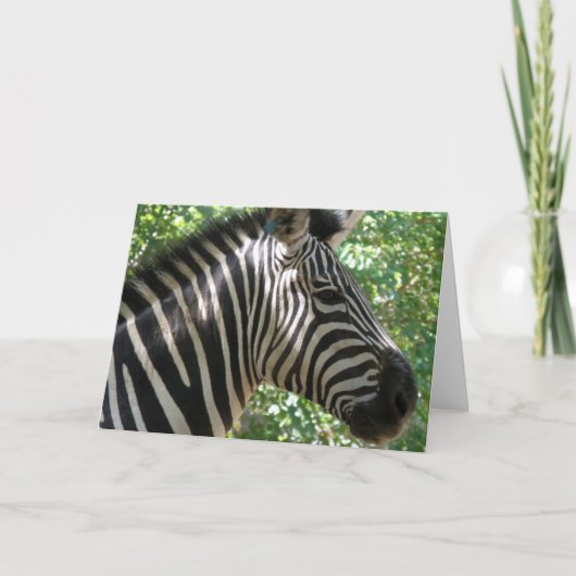 Cute Zebra Wenskaart Kaart (Voorkant)
