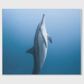 Cute Zee Dolphin Cadeaupapier (Vlak)