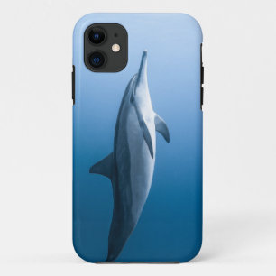 Cute Zee Dolphin Case-Mate iPhone Case