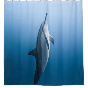 Cute Zee Dolphin Douchegordijn