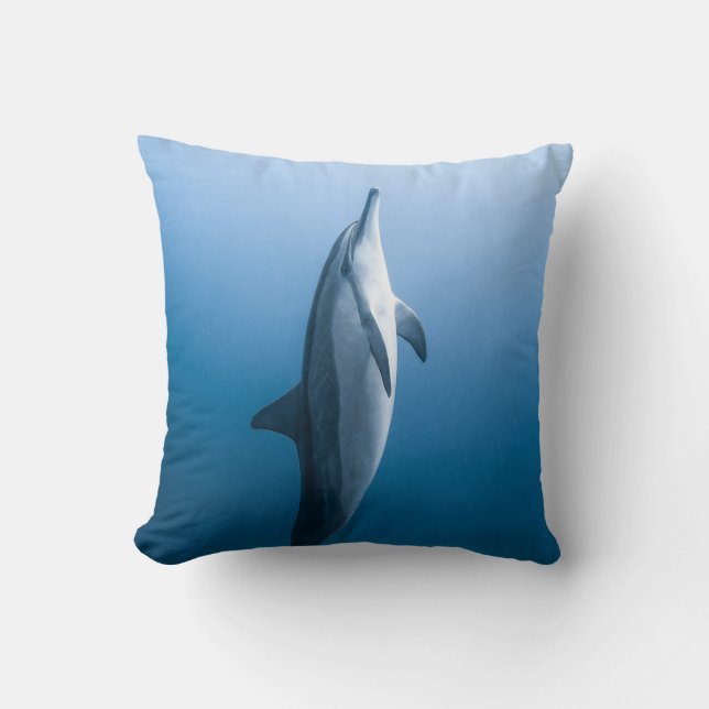 Cute Zee Dolphin Kussen (Voorkant)