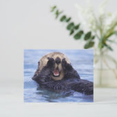 Cute Zee Otter | Alaska, Verenigde Staten Briefkaart (Staand voorkant)