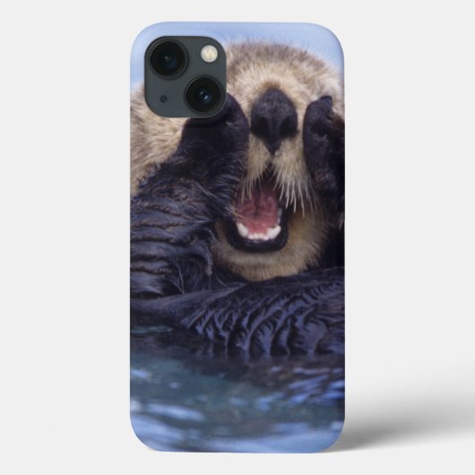 Cute Zee Otter | Alaska, Verenigde Staten Case-Mate iPhone Case (Achterkant)