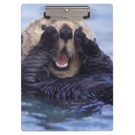 Cute Zee Otter | Alaska, Verenigde Staten Klembord (Voorkant)
