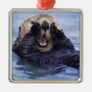 Cute Zee Otter Alaska, Verenigde Staten Metalen Ornament