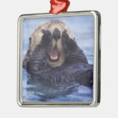 Cute Zee Otter | Alaska, Verenigde Staten Metalen Ornament (Links)