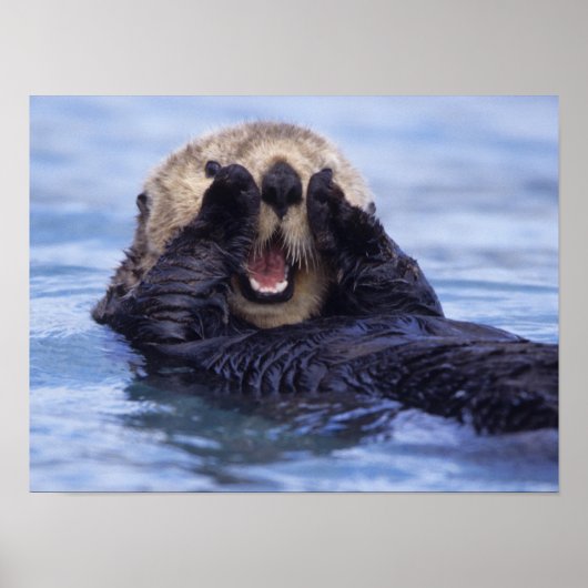 Cute Zee Otter | Alaska, Verenigde Staten Poster (Voorkant)