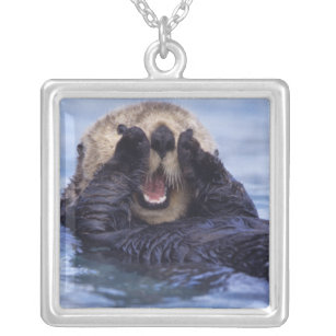 Cute Zee Otter   Alaska, Verenigde Staten Zilver Vergulden Ketting