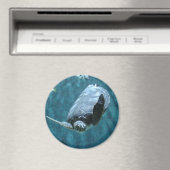 Cute Zee Turtle swimming in oceaan Foto Magnet (Insitu (Vaatwasser))